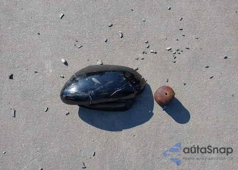 2015 Honda Odyssey Ex-L из США, поврежденный, VIN 5FNRL5H66FB124935